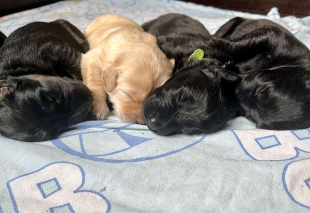 die erste Woche ist rum